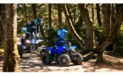 YAMAHA Quad YFZ50 2024