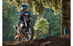 YAMAHA Moto cross YZ250 2025 Monster Energy Racing Edition