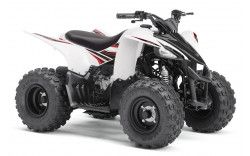 YAMAHA Quad YFZ50 2019