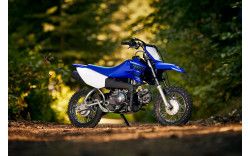 YAMAHA Moto cross enfant TT-R50 2021